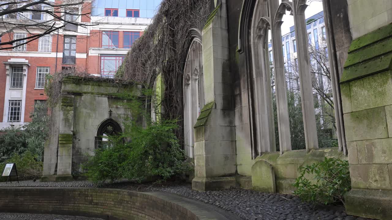 Un primo piano di uno scoiattolo grigio che cerca cibo sulle rovine in pietra e sull'edera verde all'interno del tranquillo giardino pubblico della chiesa di St Dunstan in the East a Londra.