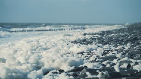 Espuma de mar