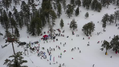 Schneeberge-Und-Kiefernwälder-Im-Mittelmeer