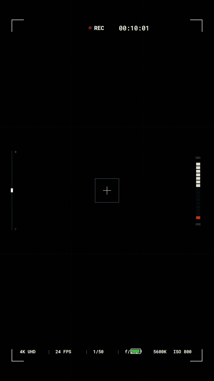 Digital Camera Recording Interface Overlay