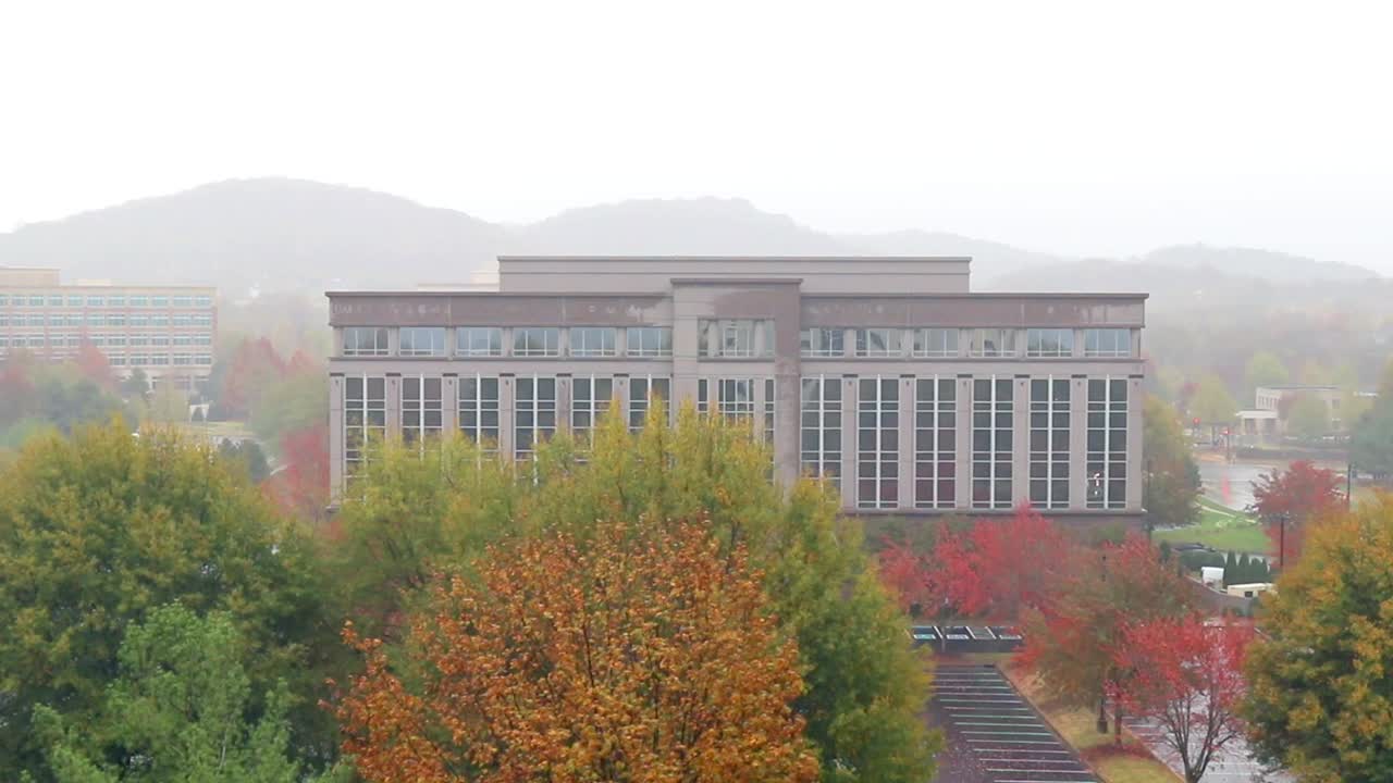 가을의 비오는 날, 바람에 날리는 가을 나무