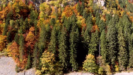 aerial view of incredible fall colors in the durmitor national park in montenegro