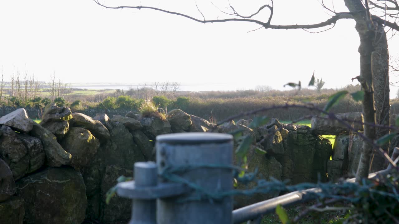 Plano geral de um muro de pedra tradicional delimitando pastagens verdejantes com a costa enevoada da Baía de Galway ao fundo