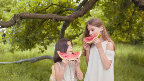 two sisters enjoying a watermelon in a park