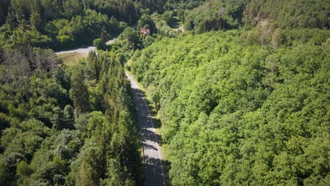 Disparo-Aéreo-Lento-A-Lo-Largo-De-Un-Largo-Camino-Vacío-Encerrado-En-Un-Bosque-En-Alemania