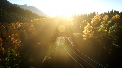 vuelo aéreo con drones sobre un bosque de pinos en la montaña al atardecer