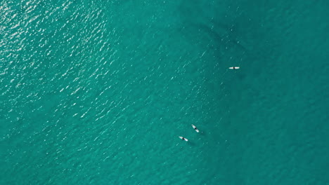 surfers waiting the perfect wave aerial top shot south africa