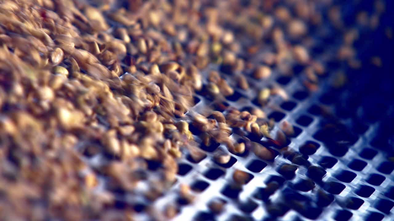 los granos de café se refinan en un separador de gravedad de agitador en una fábrica-1