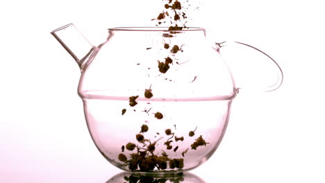 loose herbal tea falling into glass teapot