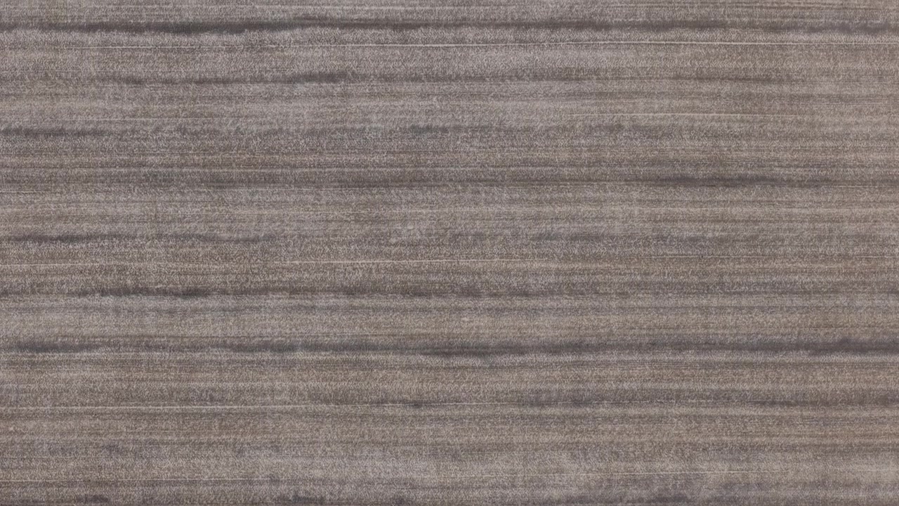Una vista ravvicinata di una texture a venatura di legno scuro e orizzontale con motivi organici naturali, adatta per sfondi di interior design e mockup.