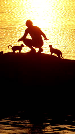 man with mountain bike in sunset light. silhouette of man with mountain bike in sunset light vertical video
