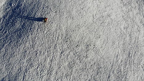 tobogganing-down-a-snowy-mountain