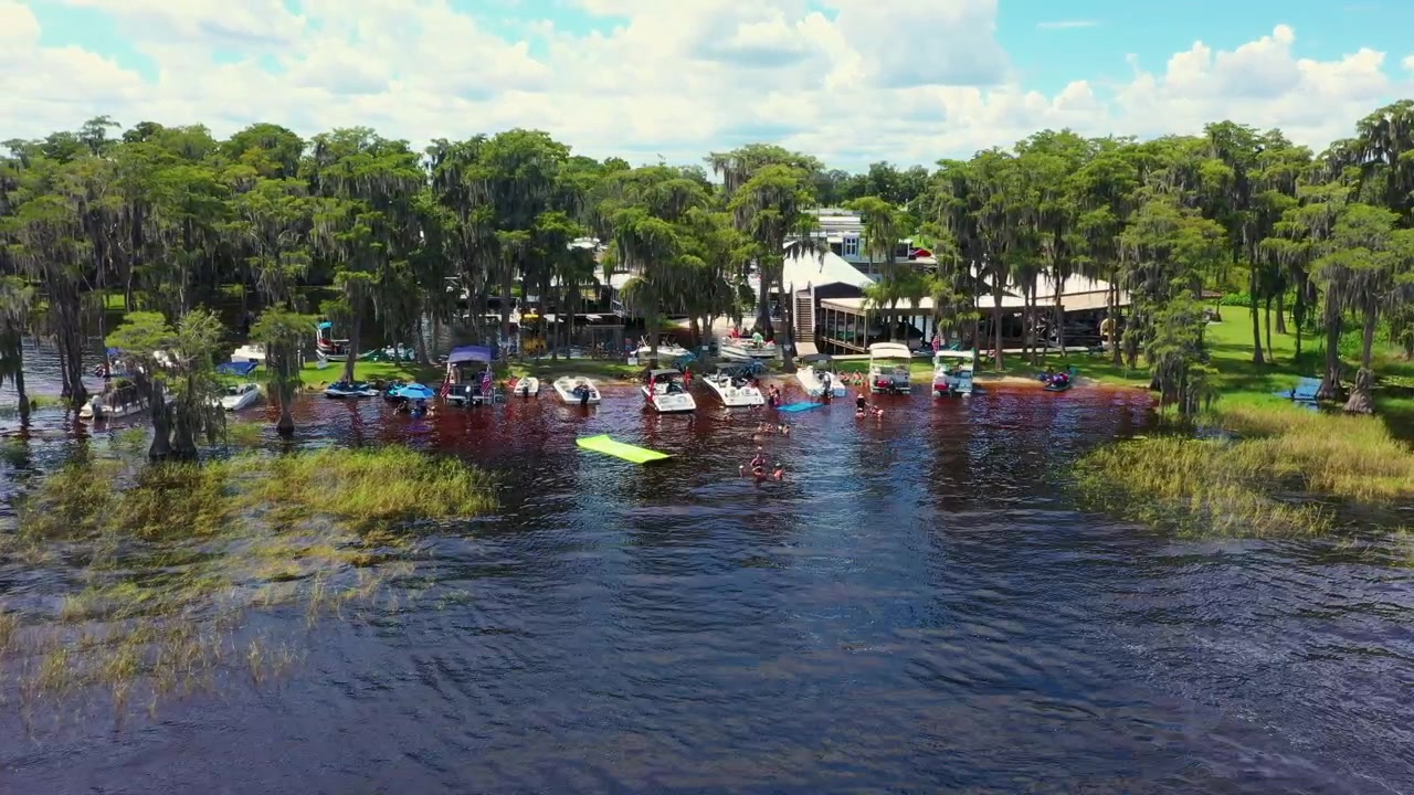 Ilmakuva vilkkaasta venekokoontumisesta Cypress Cove Marinassa Clermontissa, Floridassa, jossa on wakeboardaajia, kellukkeita ja veneitä ankkuroituna sypressien varjostamalla järvenrannalla.