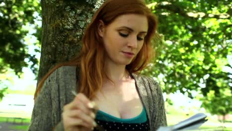 concentrated redhead doing assignments sitting on lawn