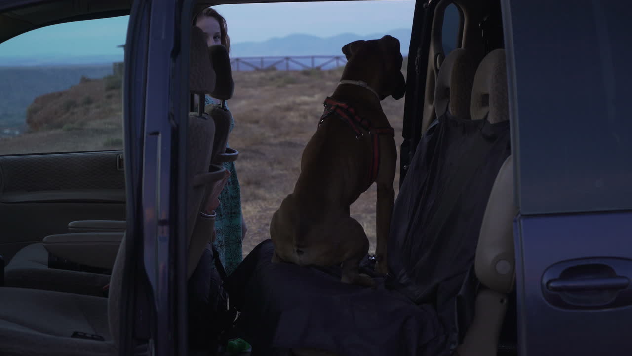 Woman and dog in a van on a road trip