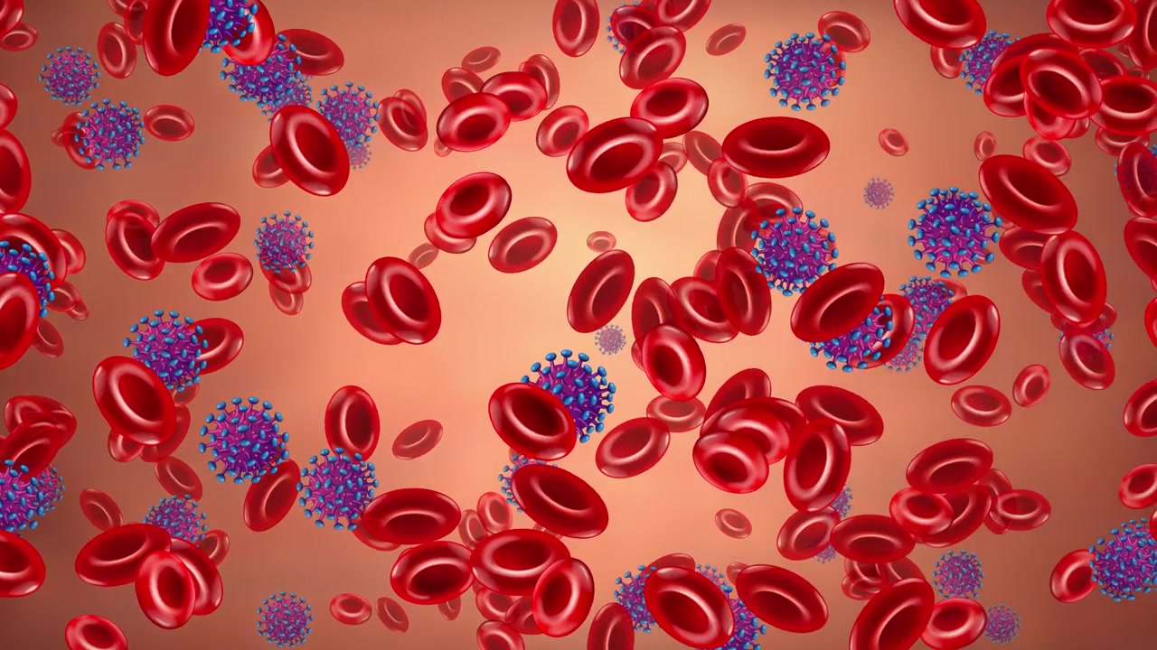 3D medical animation of red blood cells and blue virus particles floating through a vessel.