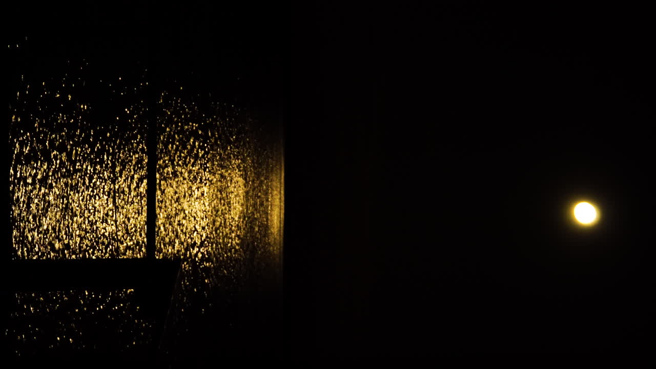 뉴질랜드 모투에카 의 부두 위 에 있는 물 표면 에 반사 되는 달빛