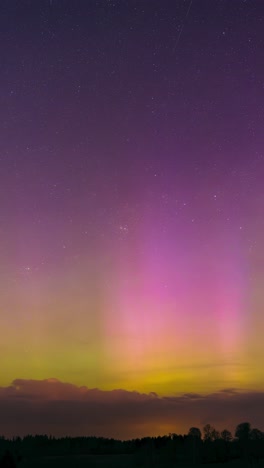 magical northern lights aurora display over forest horizon with stars and twilight colors in the sky. vertical story format video of night sky timelapse with glittering stars.