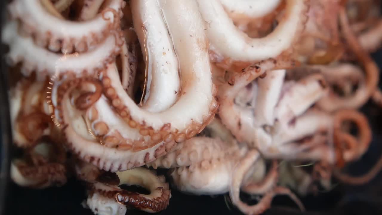 Close-up of Octopus Tentacles