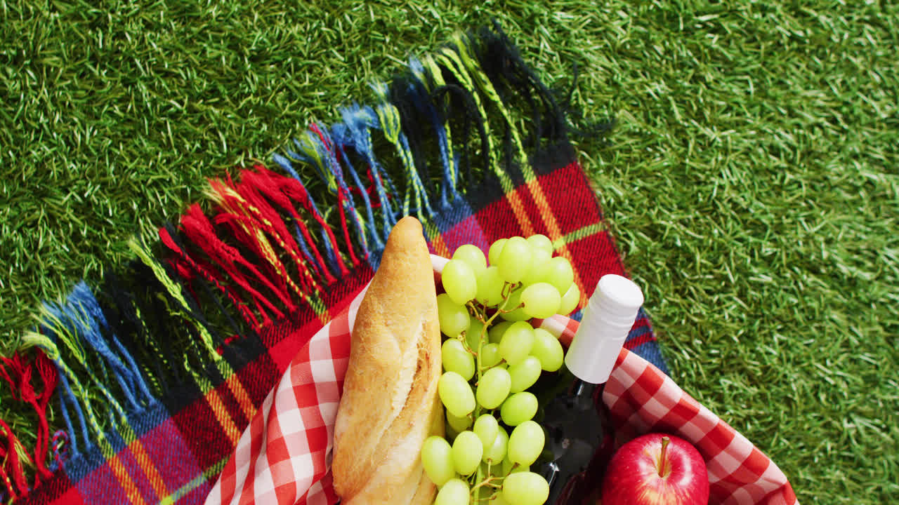Picnic basket with checkered blanket, fruits, bread and wine on grass with copy space