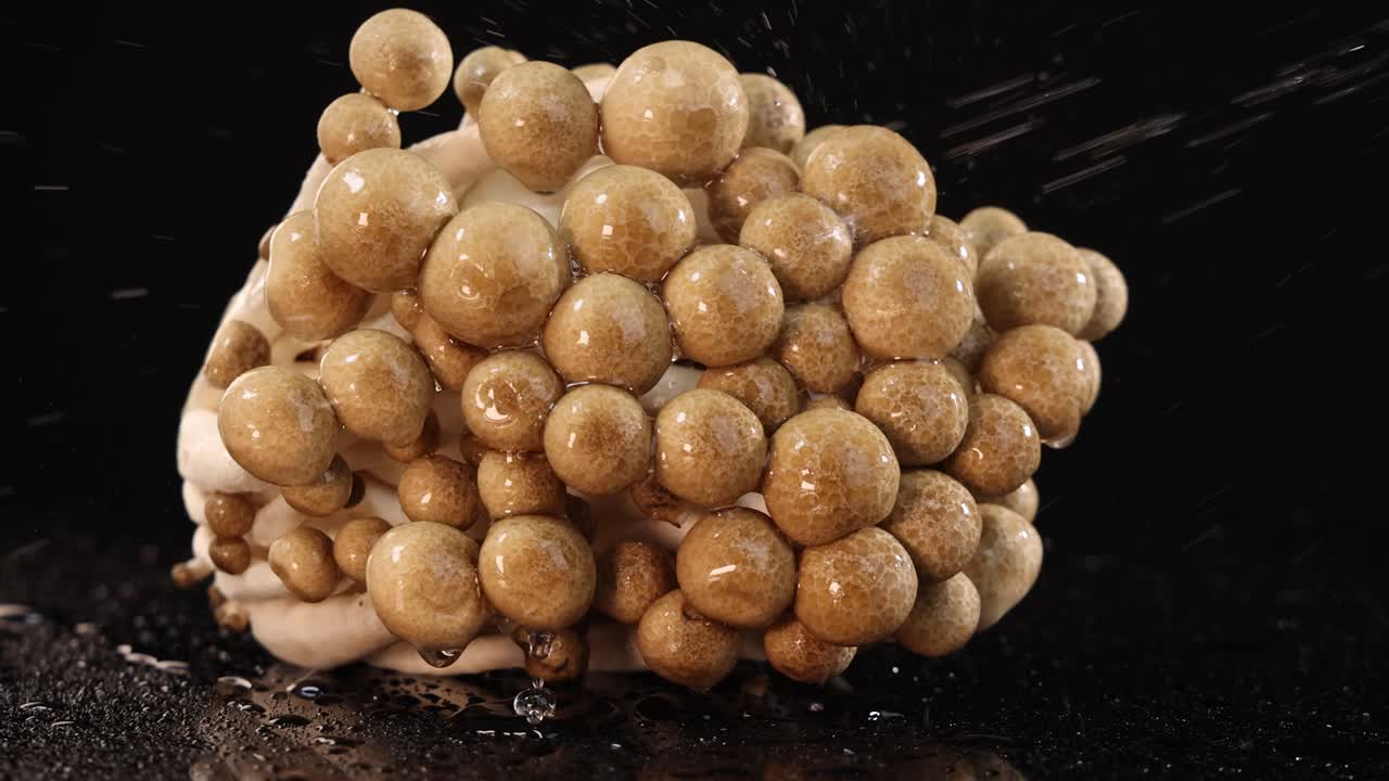 Cluster of brown beech mushrooms spins slowly while being sprayed with water, illuminated by dramatic studio lighting against a black background, highlighting texture and freshness