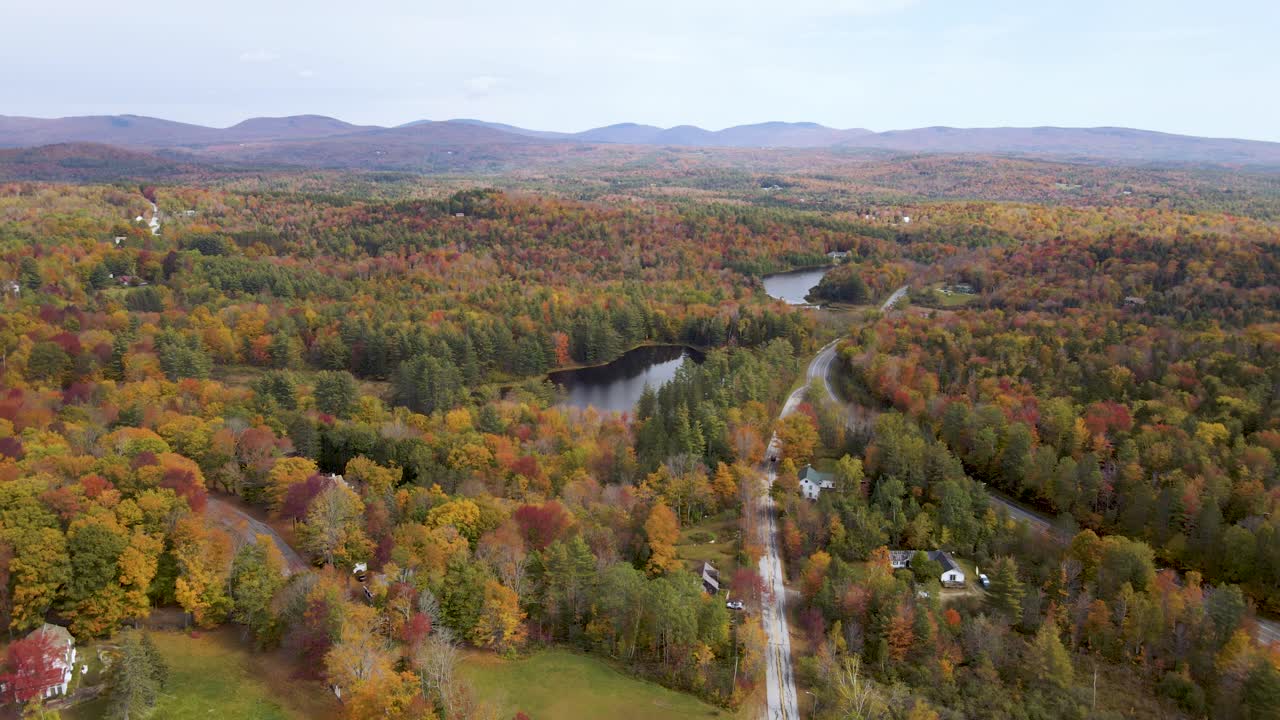concepto de otoño - hojas coloridas y vibrantes en los árboles en nueva inglaterra