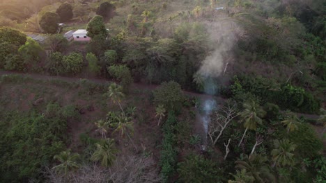 panorámica sobre el penacho de humo en un bosque exótico junto a pequeñas casas rurales