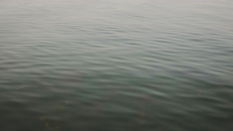 view of rippling water lake - pov