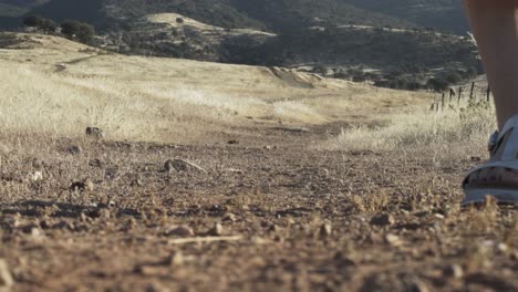 A-man-walks-alongside-the-girl-on-the-road,-which-is-scattered-with-small,-sharp-pebbles,-while-the-meadow-behind-him-is-covered-in-yellow-colored-dry-grass