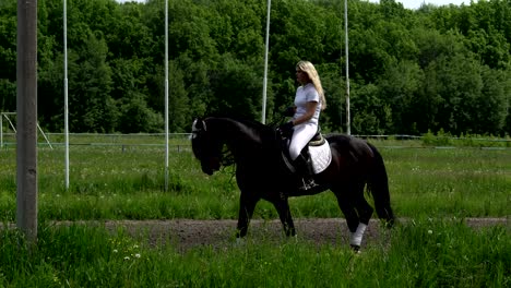 a beautiful girl in white hair and white clothes slowly rides on a black brown stallion at the racetrack.