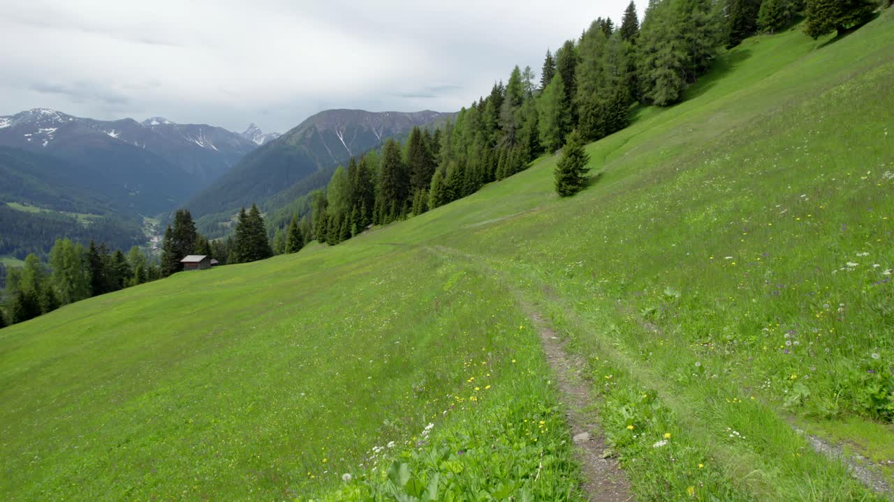 Aerial drone footage flying close to an alpine meadow in spring in full flower with a Swiss alpine log cabin and a forest of green conifer trees and mountains in the background in Switzerland