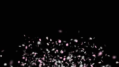 pink and white flower petals falling