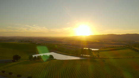 Slow-aerial-pan-view-above-scenic-vineyard-with-lake-below-in-Yarra-Valley,-Victoria,-Australia