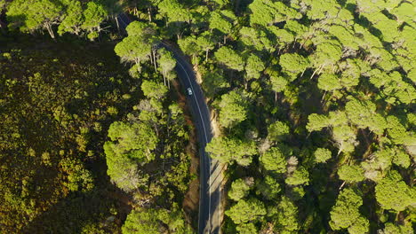 En-Un-Viaje-Por-Carretera-En-Solitario