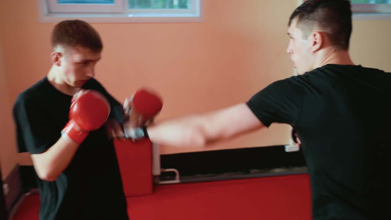 Grapplers wearing black shirt and gloves trains inside gym, holding defensive guard stance with intensity, focus, and athletic strength, demonstrating combat readiness, determination, and martial discipline