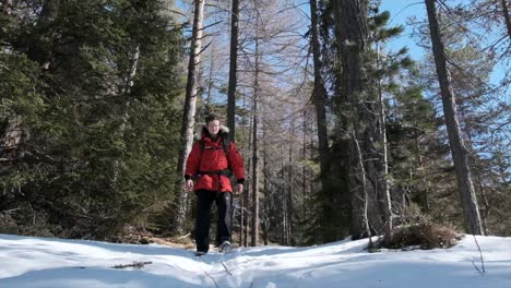 Low-wide-shot-of-Man-waking-through-a-snowy-forest-in-slow-motion