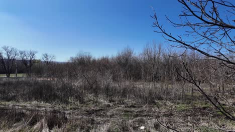 Nature-field-with-trees-in-the-winter-with-no-snow-Chisinau-Moldova