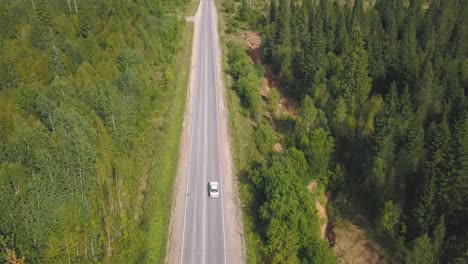 aerial view of a road through a forest