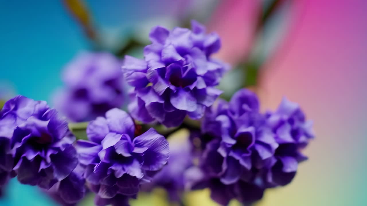 Vibrant Abstract Blurry Background