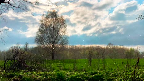 Colorful-Latvian-countryside-landscape-during-rain-and-sun-at-the-same-time