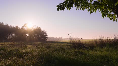 hermosa naturaleza pacífica