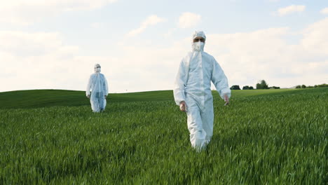 caucasian researchers in white protective suits and goggles walking in the green field while doing pest control