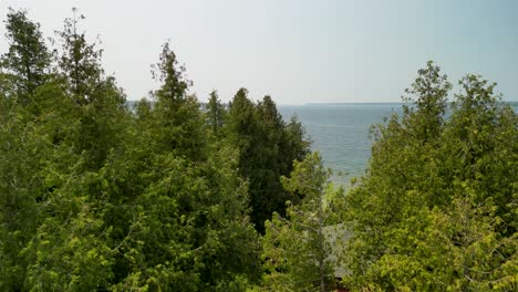 Aerial-flyover-forest-trees-reveal-lake-water,-Michigan