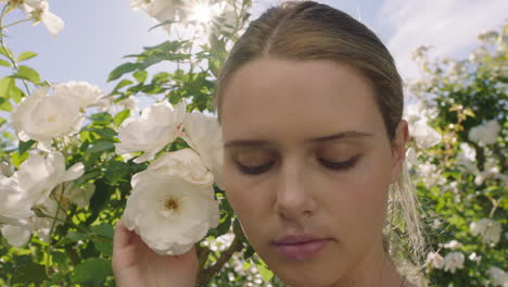 beautiful woman smelling roses in blossoming rose garden enjoying natural scent