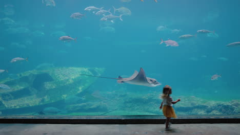 little girl in aquarium looking at stingray swimming in tank curious child watching marine animals in oceanarium having fun learning about sea life in aquatic habitat