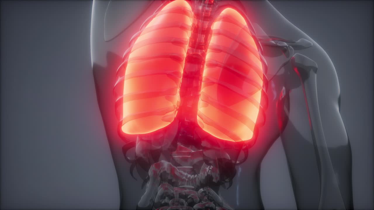 examen radiológico de los pulmones humanos