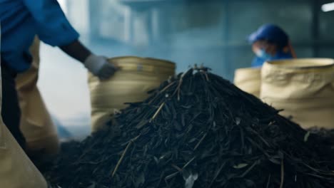 tea leaves being processed