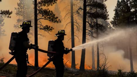 firefighters work tirelessly to extinguish a large wildfire. the bright flames contrast against the silhouettes of trees as smoke fills the air during twilight hours.