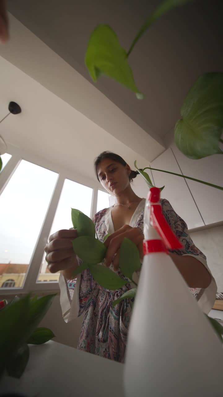 Woman Taking Care of Houseplants in Kitchen