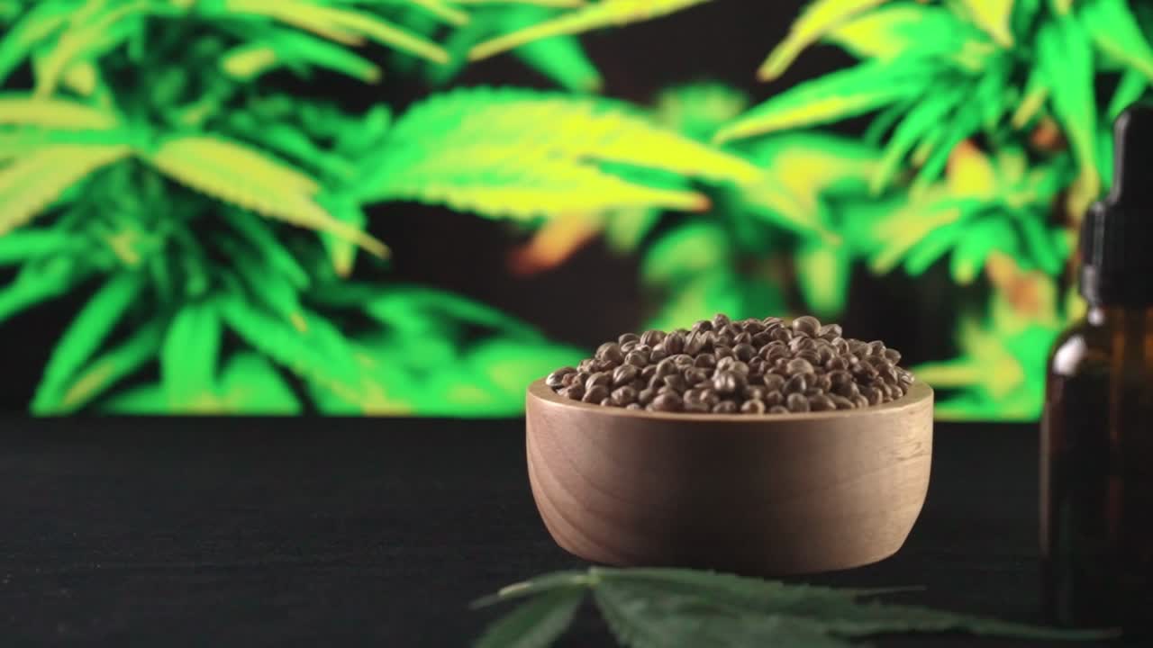 카나비스 식물에서 추출된 합법화된 제품 세트가 카나비스 공간을 위한 테이블에 있습니다.